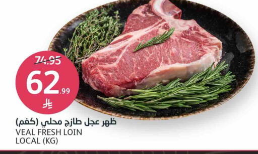 available at مركز الجزيرة للتسوق in مملكة العربية السعودية, السعودية, سعودية - الرياض