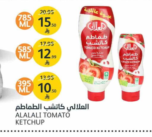 Tomato available at AlJazera Shopping Center in KSA, Saudi Arabia, Saudi - Riyadh