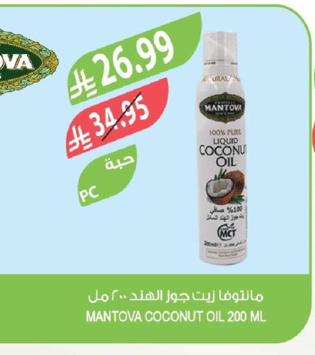 Coconut available at Farm  in KSA, Saudi Arabia, Saudi - Dammam