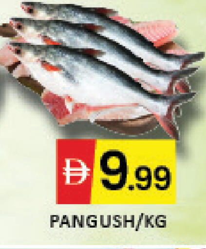 Mango available at Mango Hypermarket LLC in UAE - Dubai