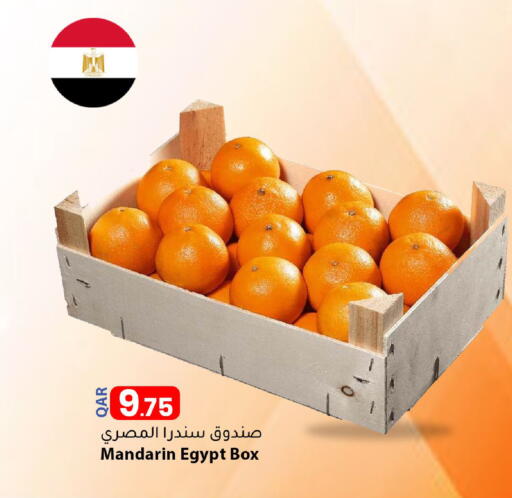 Mandarin from Egypt available at دانا ماركت in قطر - الضعاين