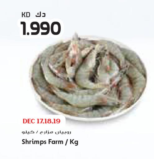 available at Grand Costo in Kuwait - Ahmadi Governorate