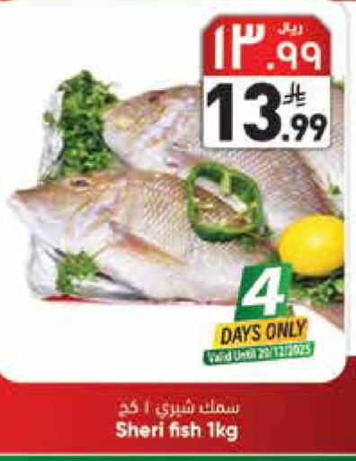 available at ستي فلاور in مملكة العربية السعودية, السعودية, سعودية - حائل‎