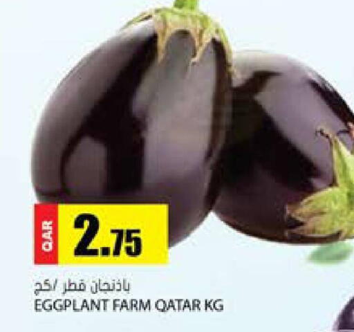 Eggplant from Qatar available at Grand Hypermarket in Qatar - Al Daayen