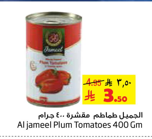 Plum Tomato available at ليان هايبر in مملكة العربية السعودية, السعودية, سعودية - الخبر‎