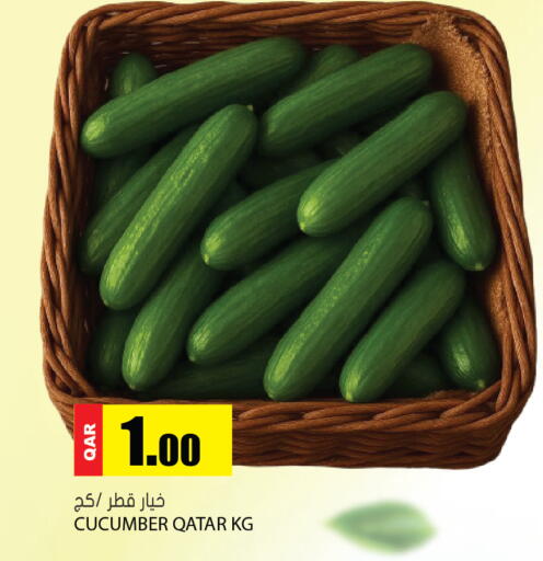 Cucumber from Qatar available at Grand Hypermarket in Qatar - Al Daayen