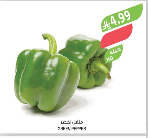 Pepper available at Farm  in KSA, Saudi Arabia, Saudi - Najran