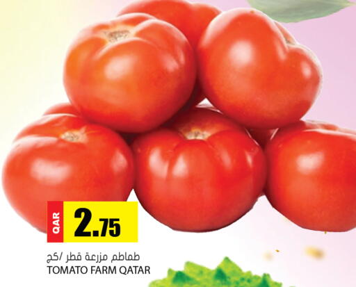 Tomato from Qatar available at جراند هايبرماركت in قطر - الدوحة