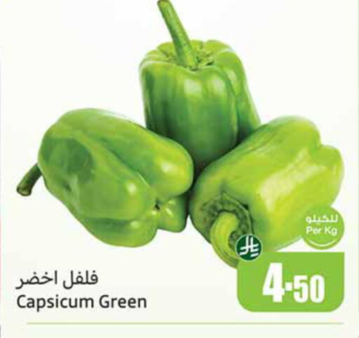 Capsicum available at Othaim Markets in KSA, Saudi Arabia, Saudi - Najran