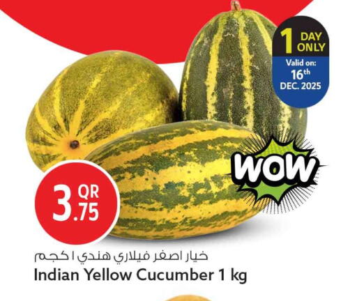 Cucumber from India available at سفاري هايبر ماركت in قطر - أم صلال