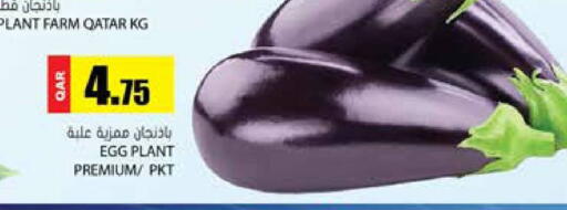 Eggplant from Qatar available at Grand Hypermarket in Qatar - Al Wakra