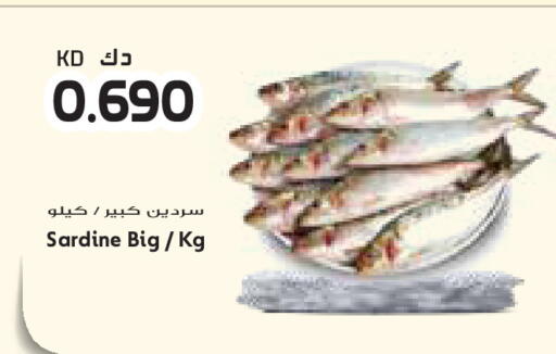 available at جراند كوستو in الكويت - محافظة الأحمدي