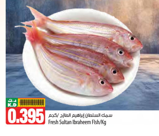 Mango available at مانجو هايبرماركت in الكويت - مدينة الكويت