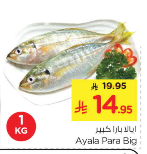 available at نستو in مملكة العربية السعودية, السعودية, سعودية - الرياض