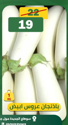 available at جرين تري هايبرماركت - سوهاج in Egypt - القاهرة