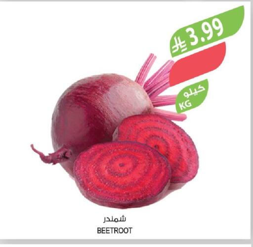 Beetroot available at Farm  in KSA, Saudi Arabia, Saudi - Al Hasa
