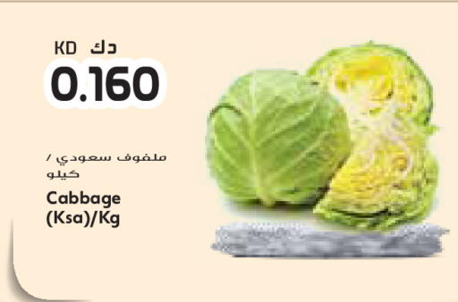 Cabbage available at جراند كوستو in الكويت - محافظة الأحمدي