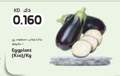 Eggplant available at جراند كوستو in الكويت - محافظة الأحمدي
