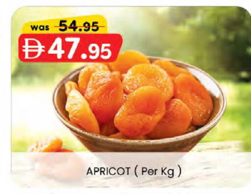 Apricot available at ك. الم. للتجارة in الإمارات العربية المتحدة , الامارات - ٱلْفُجَيْرَة‎