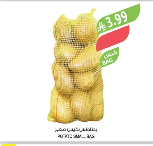 Potato available at المزرعة in مملكة العربية السعودية, السعودية, سعودية - أبها