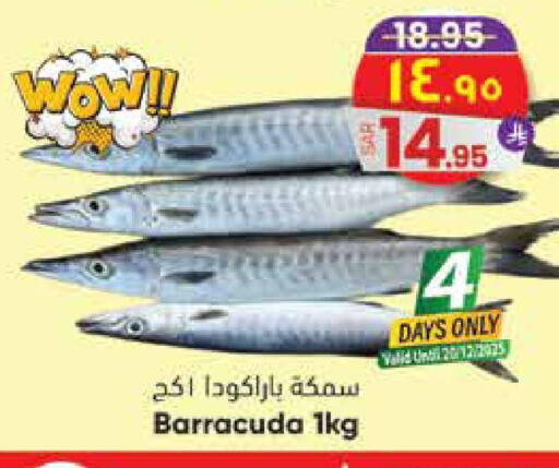 available at ستي فلاور in مملكة العربية السعودية, السعودية, سعودية - الجبيل‎