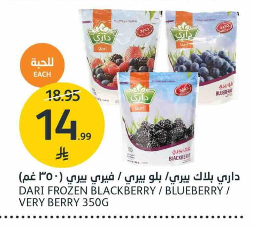 Blueberry BlueBerry Blackberry available at AlJazera Shopping Center in KSA, Saudi Arabia, Saudi - Riyadh