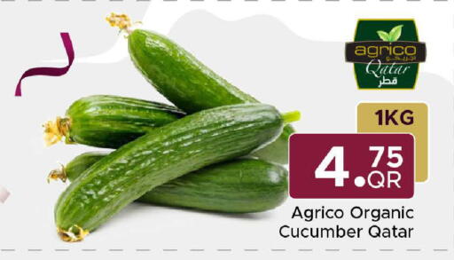 Cucumber from Qatar available at Family Food Centre in Qatar - Al Khor