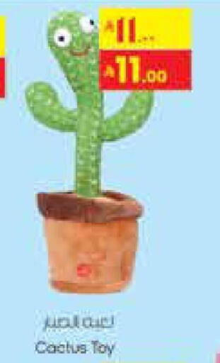 available at City Flower in KSA, Saudi Arabia, Saudi - Jubail