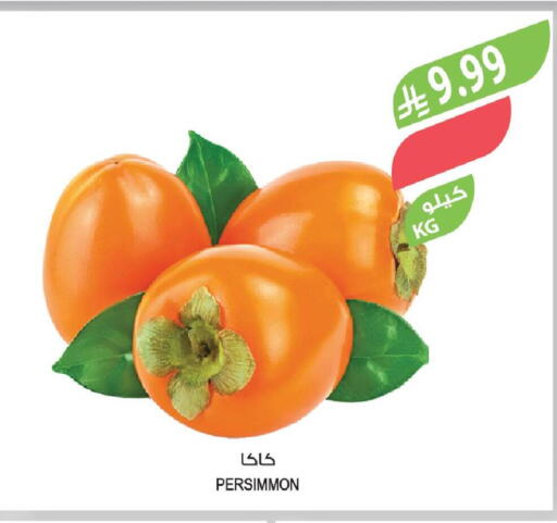 Persimmon available at Farm  in KSA, Saudi Arabia, Saudi - Al Khobar