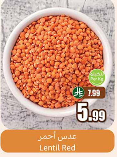 available at Othaim Markets in KSA, Saudi Arabia, Saudi - Rafha