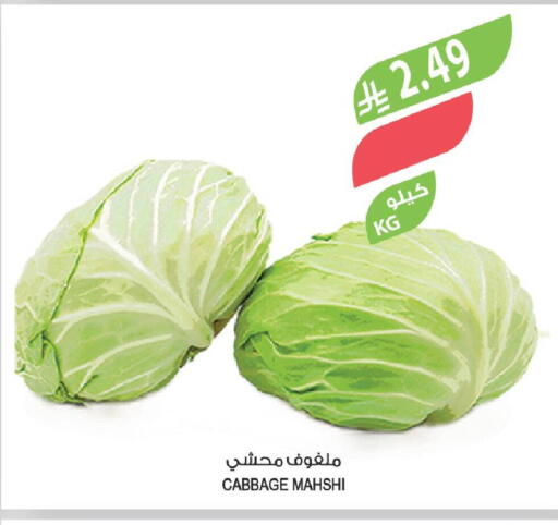 Cabbage available at Farm  in KSA, Saudi Arabia, Saudi - Najran