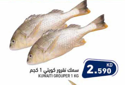 available at  رامز in الكويت - محافظة الأحمدي