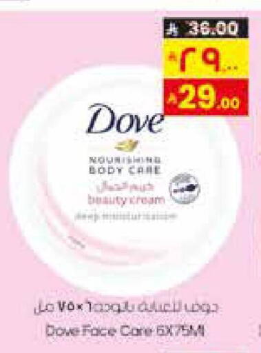 available at City Flower in KSA, Saudi Arabia, Saudi - Sakaka