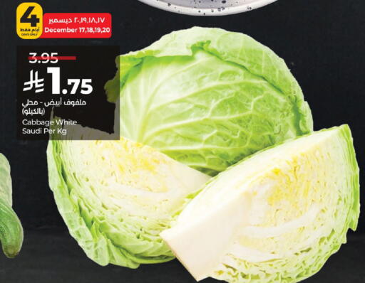 Cabbage from Saudi Arabia available at LULU Hypermarket in KSA, Saudi Arabia, Saudi - Hail