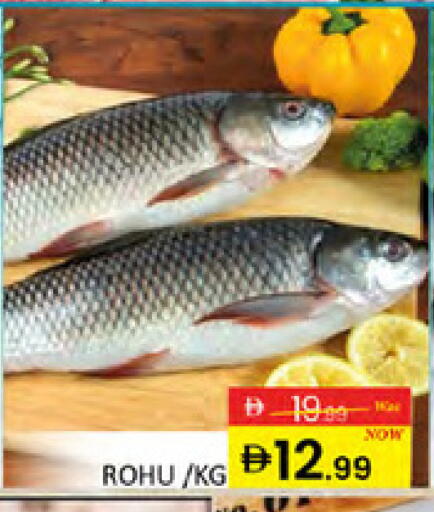 available at المدينة in الإمارات العربية المتحدة , الامارات - دبي