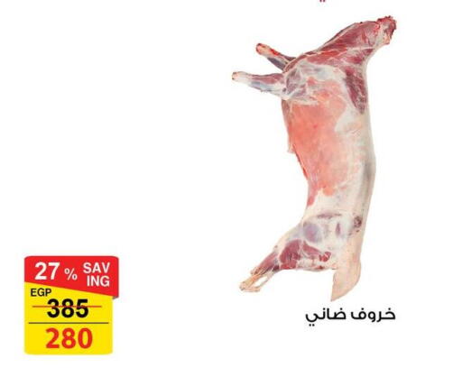 available at Fathalla Market  in Egypt - Cairo