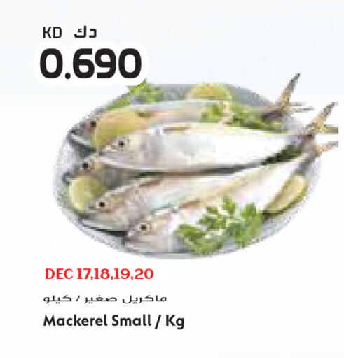 available at Grand Costo in Kuwait - Ahmadi Governorate