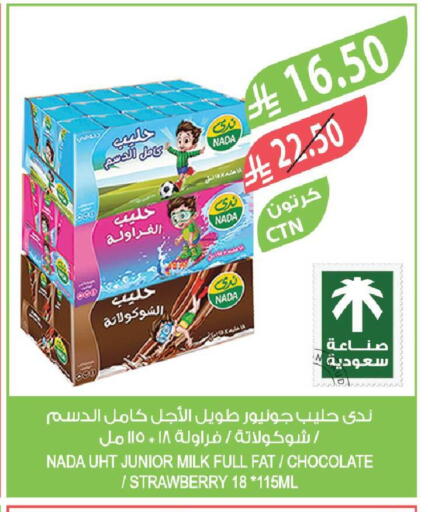 Strawberry available at Farm  in KSA, Saudi Arabia, Saudi - Qatif