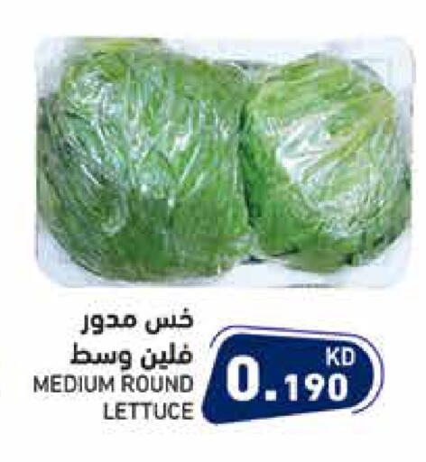 Lettuce available at Ramez in Kuwait - Jahra Governorate