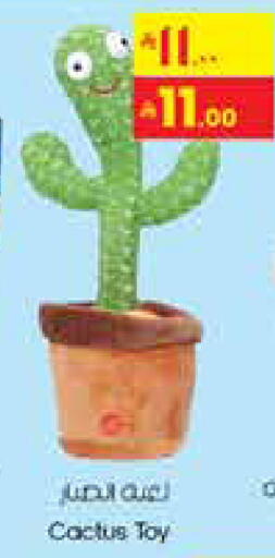 available at ستي فلاور in مملكة العربية السعودية, السعودية, سعودية - عرعر