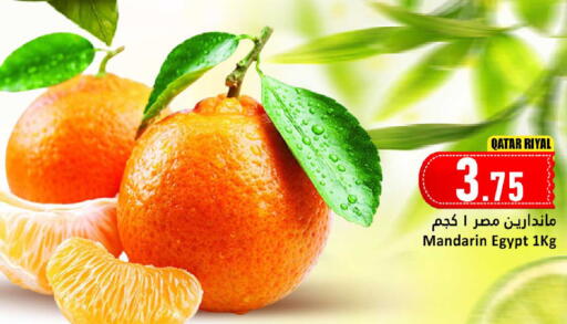 Mandarin from Qatar Egypt available at دانة هايبرماركت in قطر - الوكرة