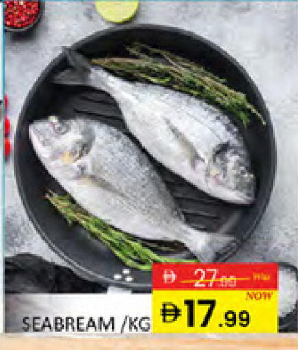 available at المدينة in الإمارات العربية المتحدة , الامارات - دبي