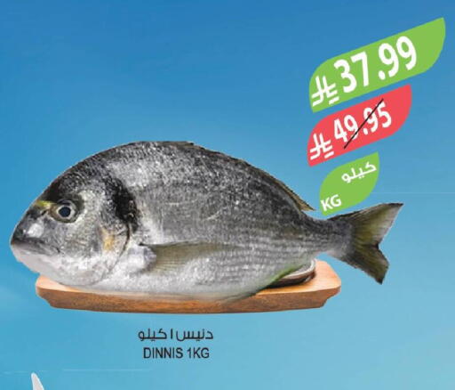 available at Farm  in KSA, Saudi Arabia, Saudi - Najran