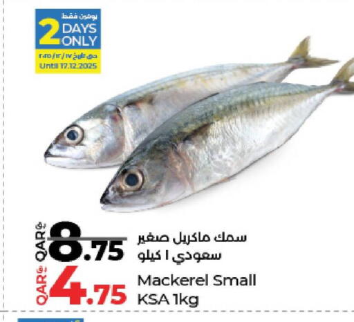 available at لولو هايبرماركت in قطر - الخور