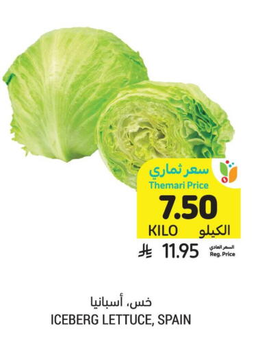Lettuce from Spain available at Tamimi Market in KSA, Saudi Arabia, Saudi - Riyadh