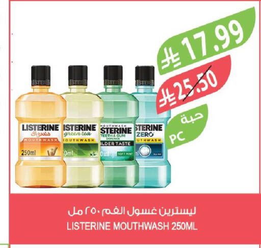 Mint available at Farm  in KSA, Saudi Arabia, Saudi - Abha