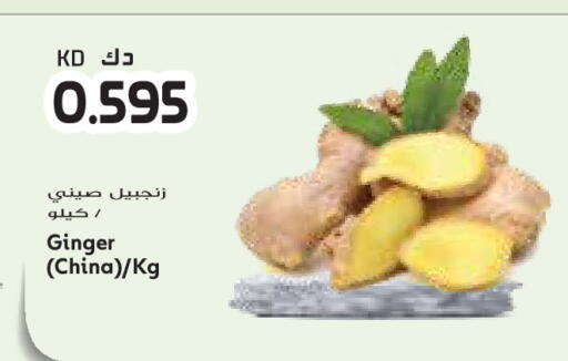 Ginger from China available at جراند كوستو in الكويت - محافظة الأحمدي