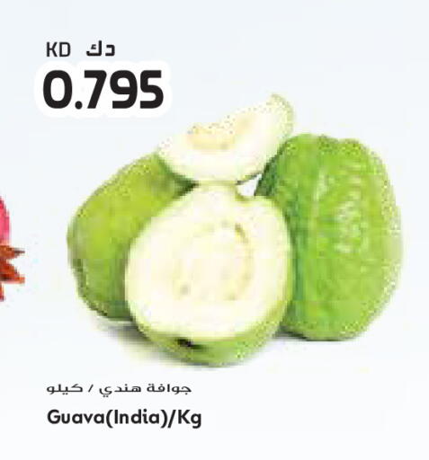 Guava from India available at جراند كوستو in الكويت - محافظة الأحمدي