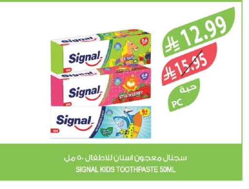 Strawberry Mint available at Farm  in KSA, Saudi Arabia, Saudi - Jazan