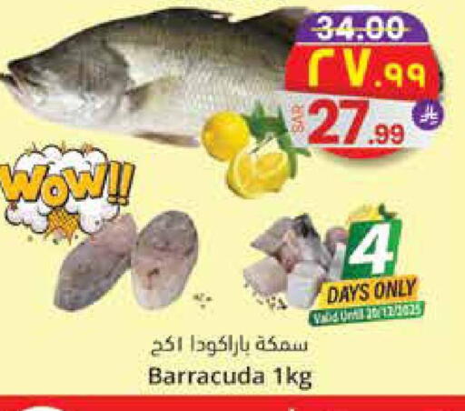 available at City Flower in KSA, Saudi Arabia, Saudi - Riyadh